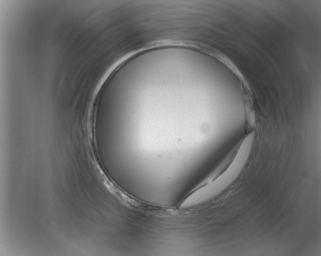 X0000080121148200612302004