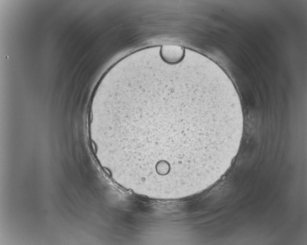 X0000080121150200612302004