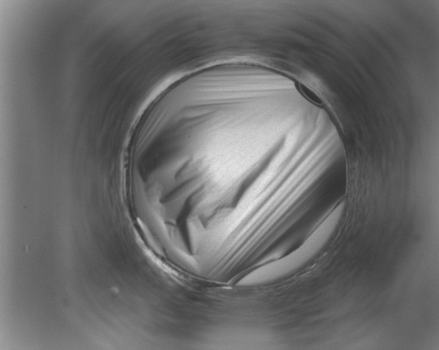 X0000080121151200612302004