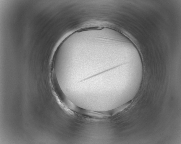 X0000080121152200612302004