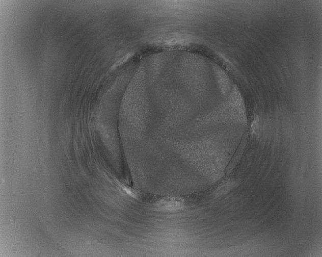 X0000080121156200612302003