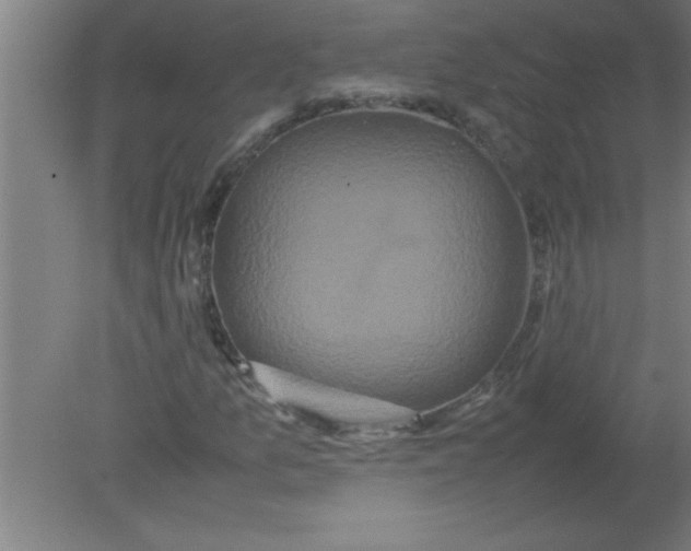 X0000080121157200612302003