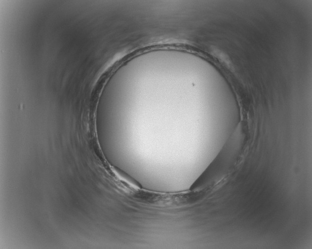 X0000080121165200612302003