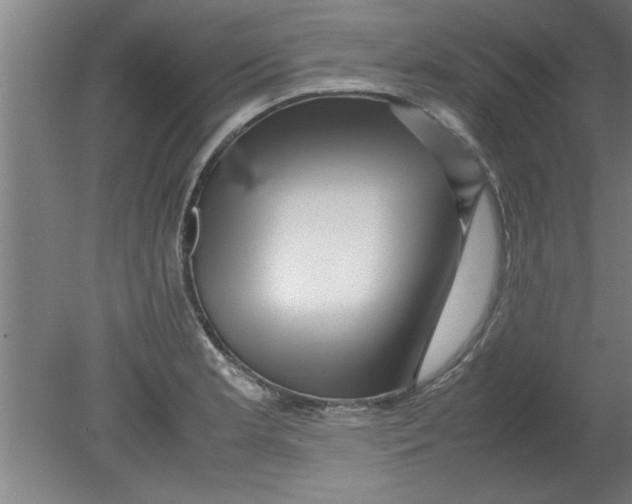 X0000080121181200612302002