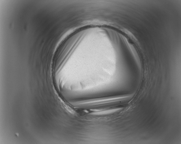 X0000080121183200612302002