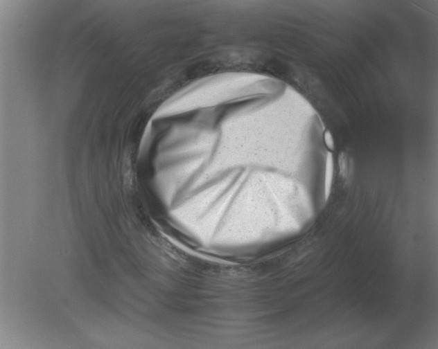 X0000080121203200612302001