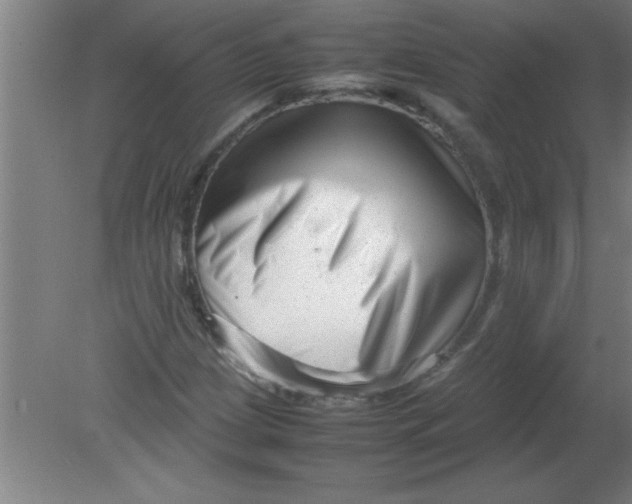 X0000080121209200612302001