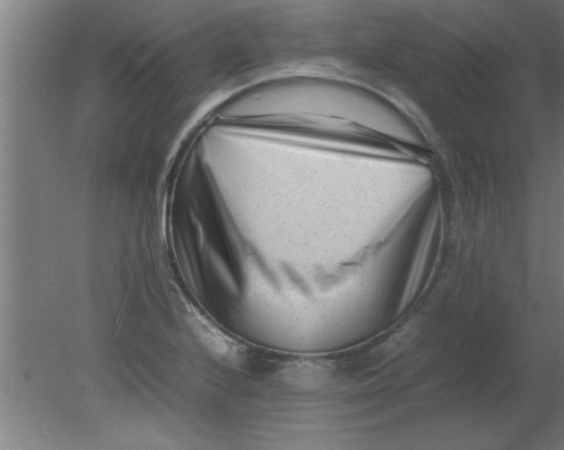 X0000080121224200612302002