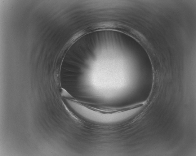 X0000080121225200612302002