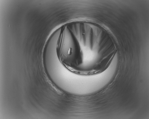 X0000080121230200612302002