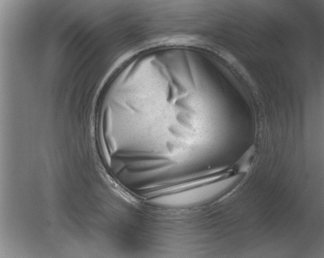 X0000080121232200612302002
