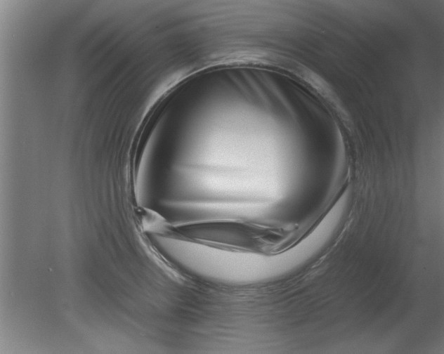 X0000080121234200612302002