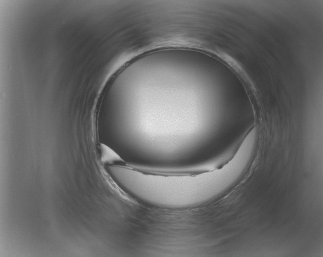X0000080121238200612302002