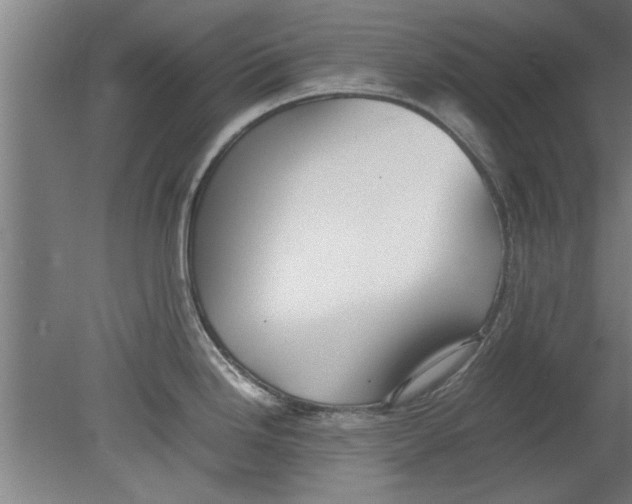 X0000080121246200612302002