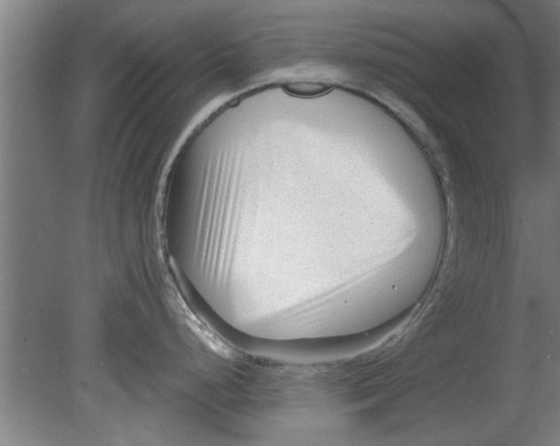 X0000080121248200612302002