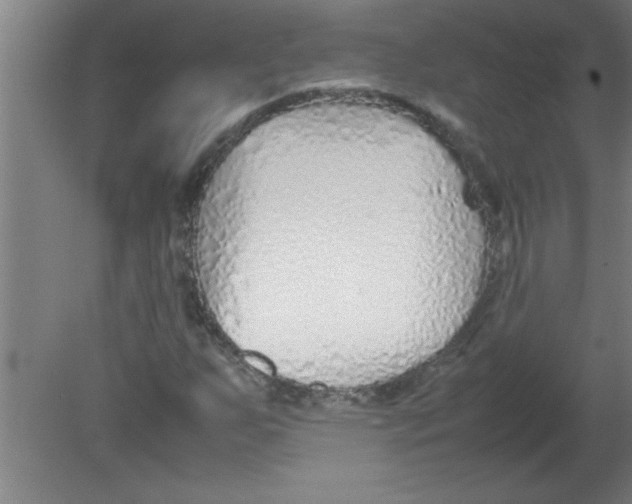 X0000080121255200612302001