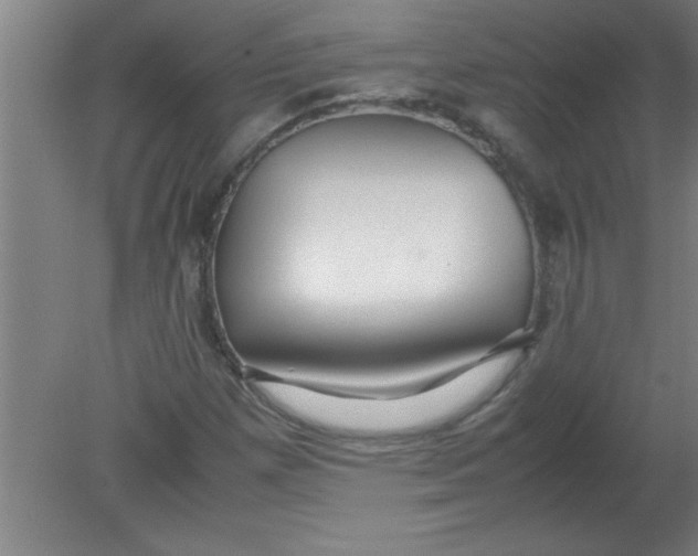 X0000080121257200612302001