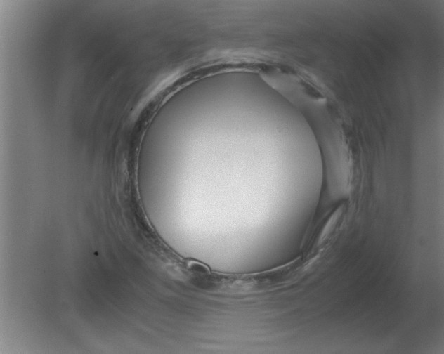 X0000080121261200612302001