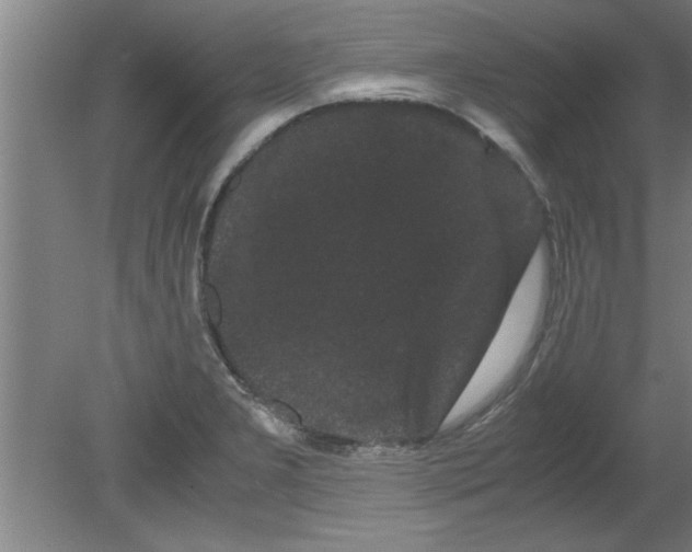 X0000080121277200612302001
