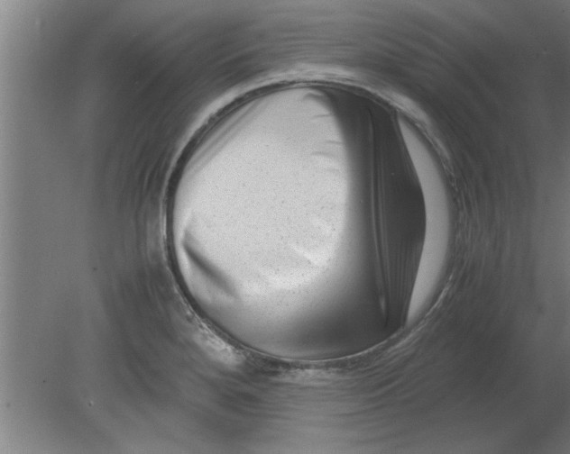 X0000080121280200612302001