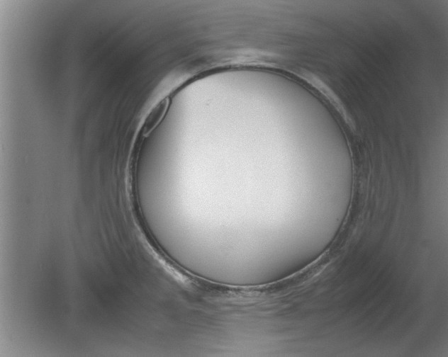 X0000080121285200612302001