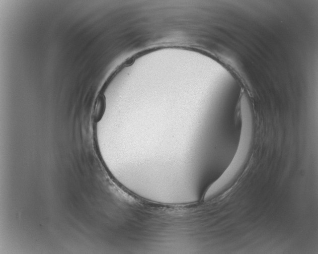 X0000080121288200612302000
