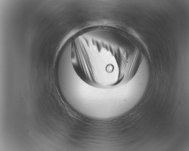 X0000080121320200612302000