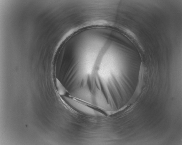 X0000080121326200612302000