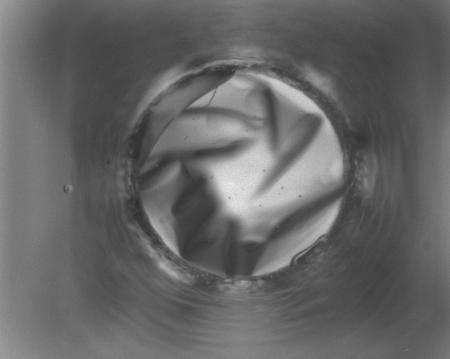 X0000080121352200612301959