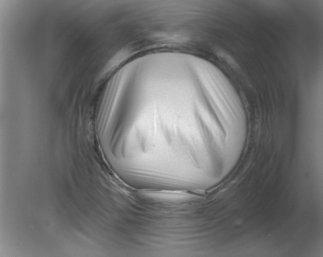 X0000080121354200612301959