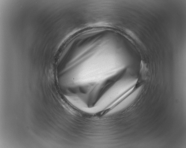 X0000080121356200612301959