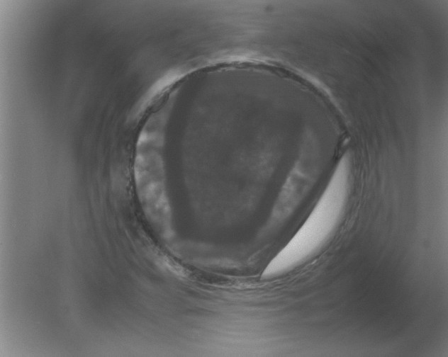 X0000080121359200612301959