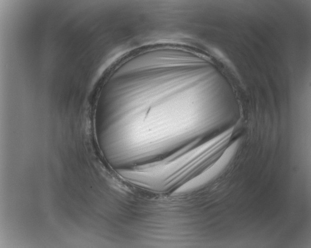 X0000080121360200612301959