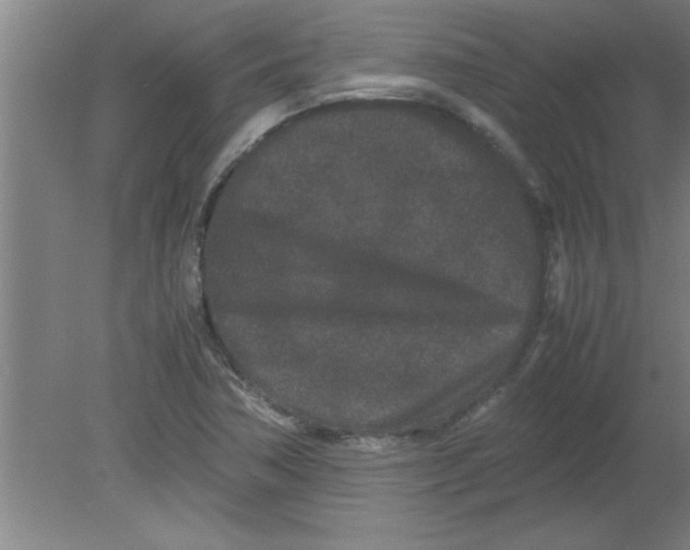 X0000080121362200612301959