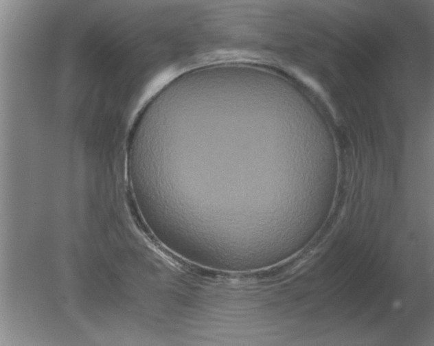 X0000080121365200612301959