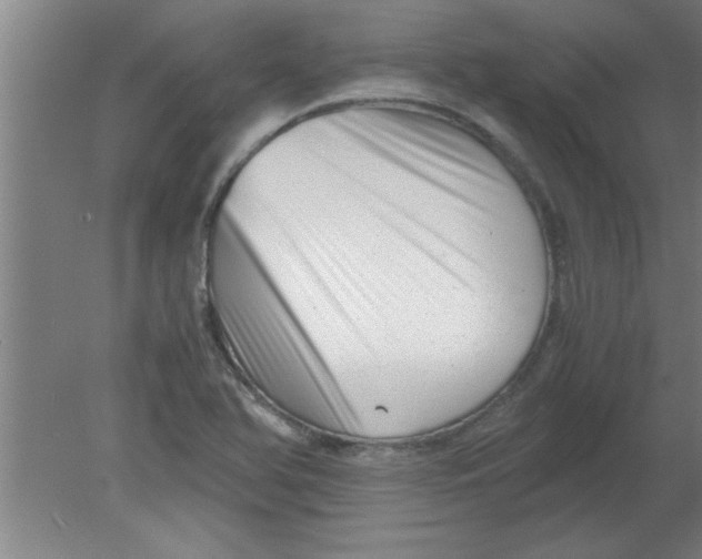 X0000080121366200612301959