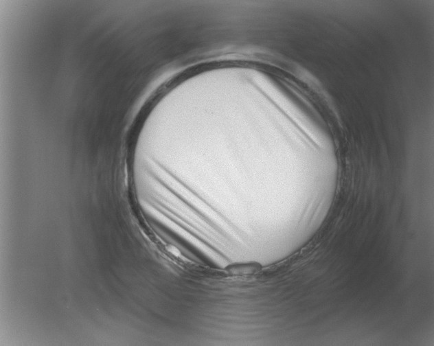 X0000080121368200612301959