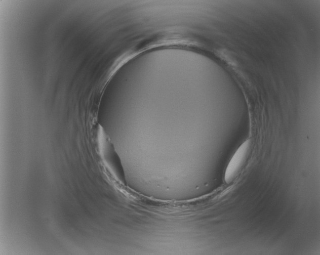 X0000080121369200612301959