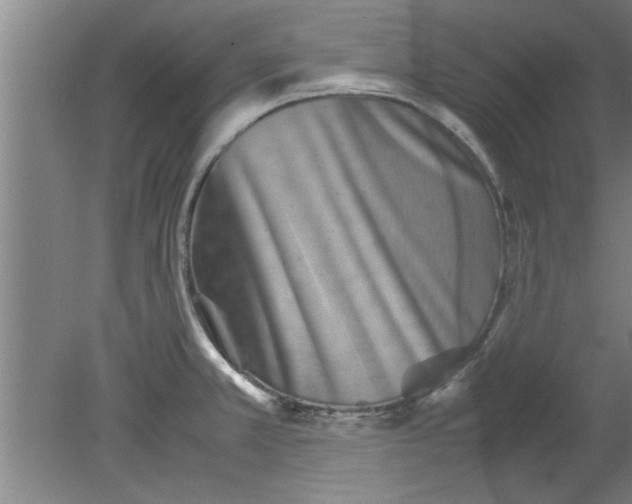 X0000080121381200612301959