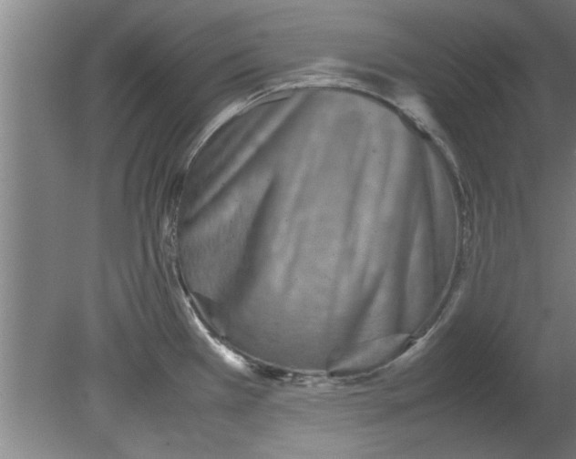 X0000080121385200612301959