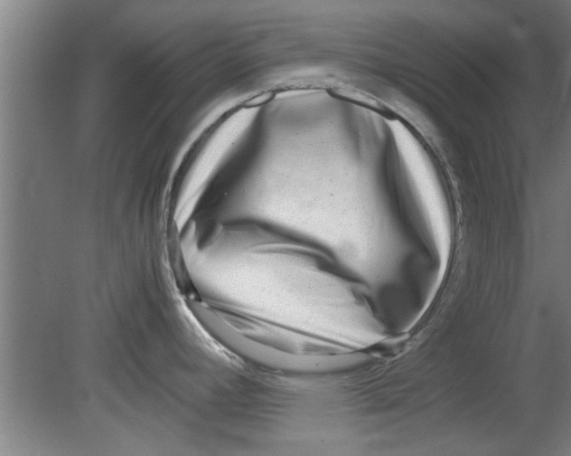 X0000080121392200612301959
