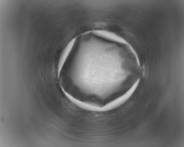 X0000080121395200612301958