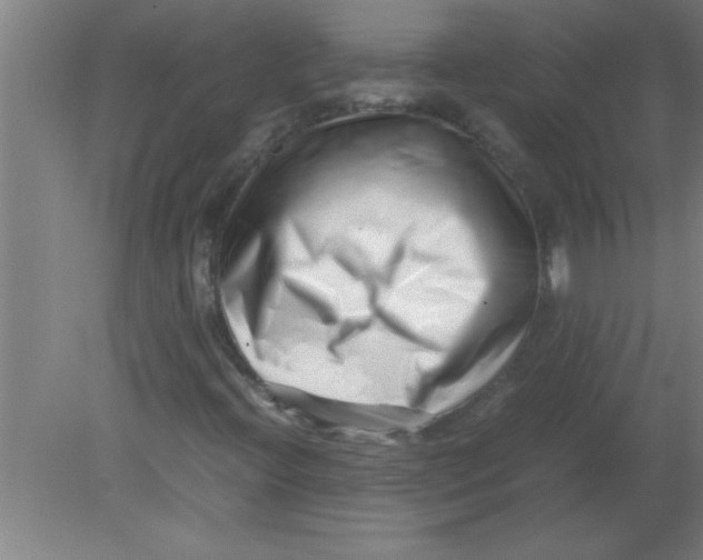X0000080121396200612301958