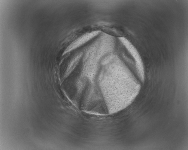 X0000080121397200612301958