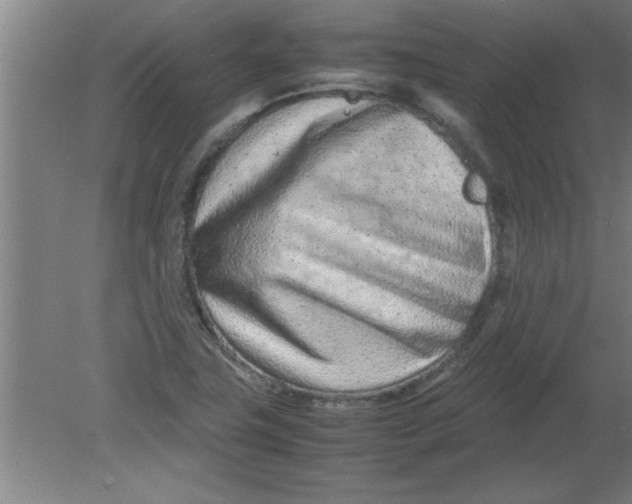X0000080121411200612301958