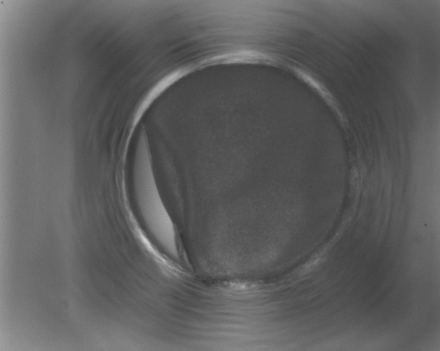 X0000080121418200612301958