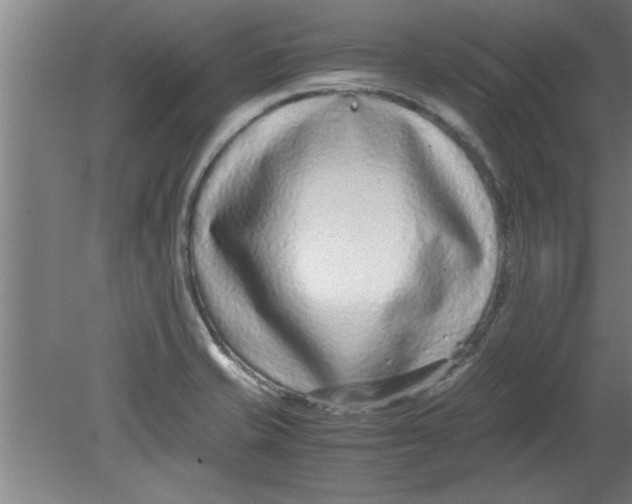 X0000080121421200612301958