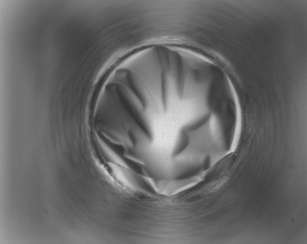 X0000080121422200612301958