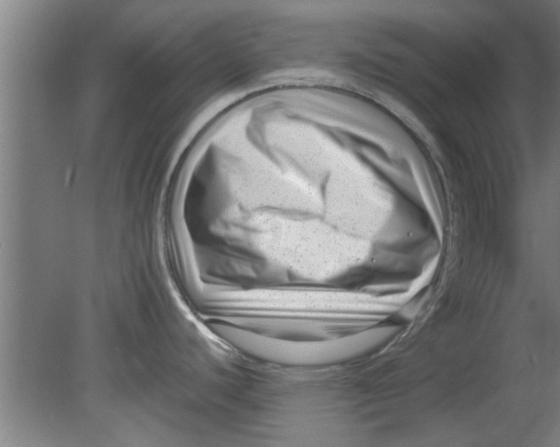 X0000080121440200612301959