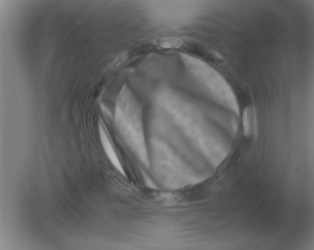 X0000080121443200612301958